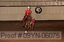 09yn-06075 proof
