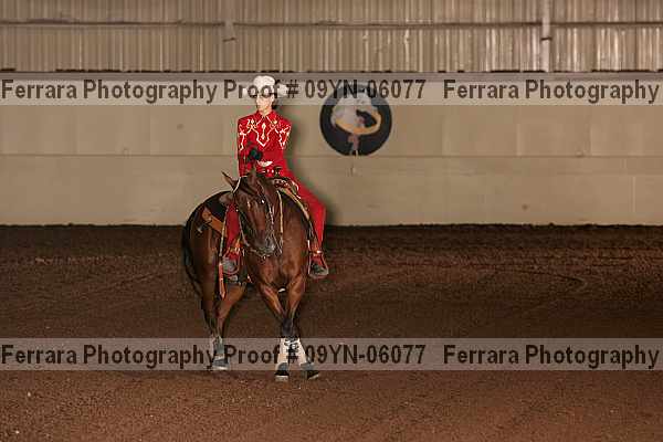 Proof 09yn-06077