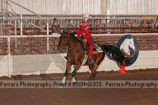 Proof 09yn-06078