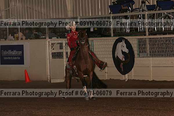 Proof 09yn-06079