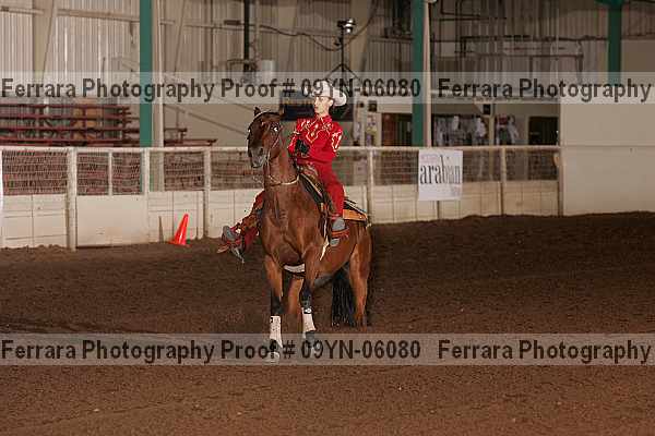 Proof 09yn-06080