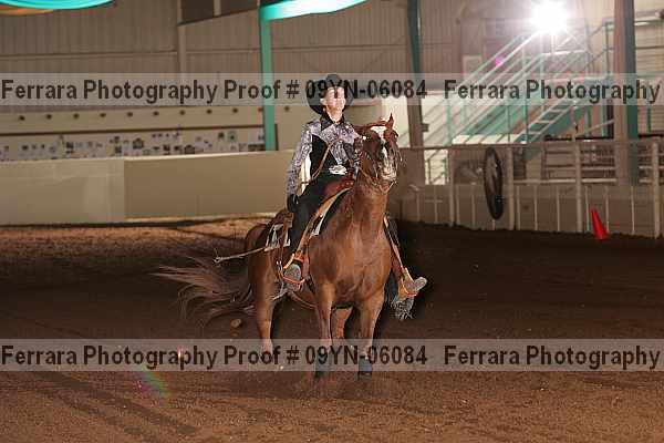 Proof 09yn-06084
