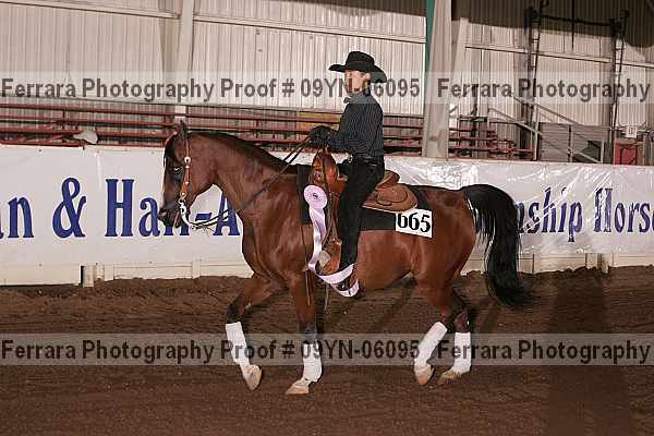 Proof 09yn-06095
