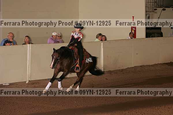 Proof 09yn-12925