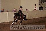 09yn-12925 proof