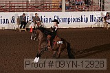 09yn-12928 proof