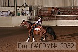 09yn-12932 proof