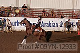 09yn-12933 proof