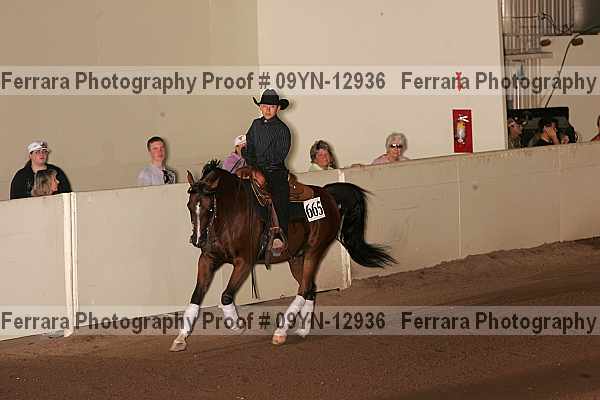 Proof 09yn-12936