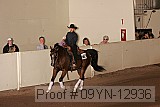09yn-12936 proof