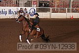 09yn-12938 proof