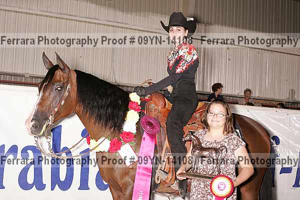 Proof 09yn-14108