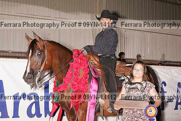 Proof 09yn-14112