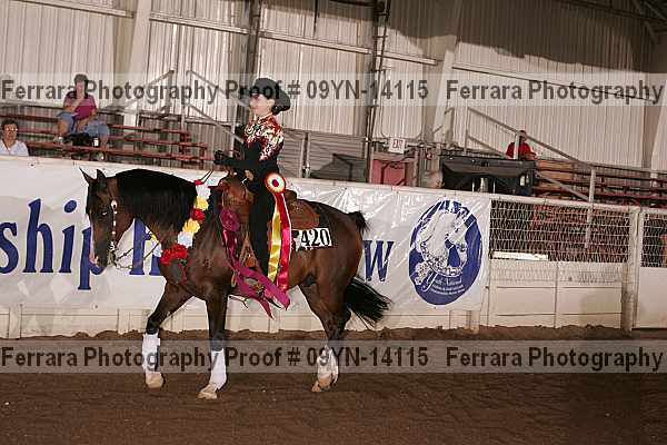 Proof 09yn-14115