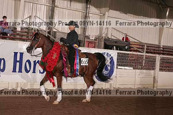 Proof 09yn-14116