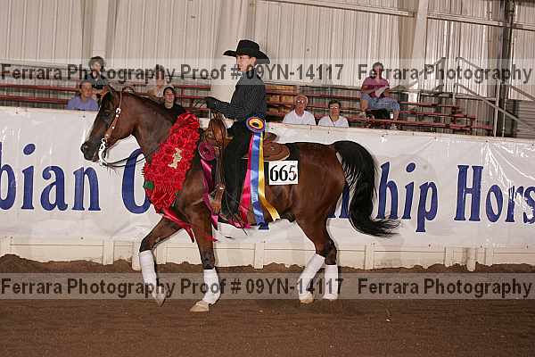 Proof 09yn-14117