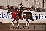 09yn-14117 proof
