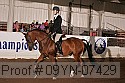 09yn-07429 proof