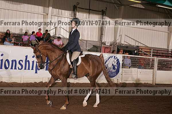 Proof 09yn-07431