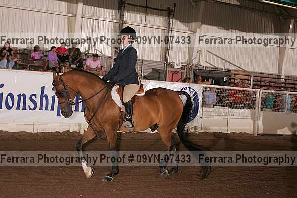 Proof 09yn-07433