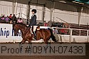 09yn-07438 proof