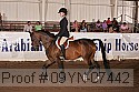 09yn-07442 proof