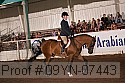 09yn-07443 proof