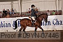 09yn-07446 proof
