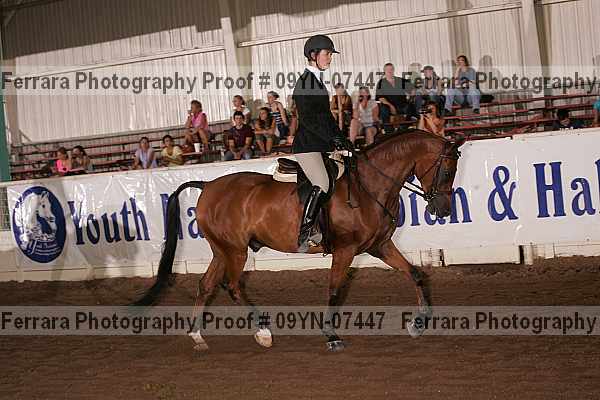 Proof 09yn-07447