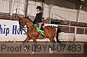 09yn-07483 proof