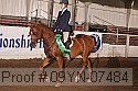 09yn-07484 proof