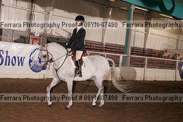 Proof 09yn-07490