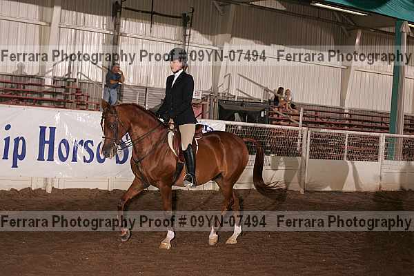 Proof 09yn-07494