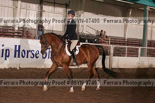 Proof 09yn-07495