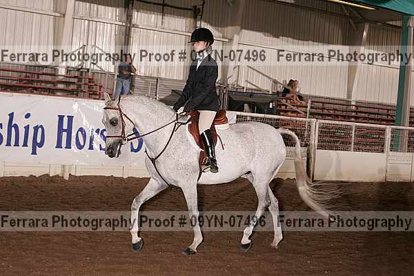 Proof 09yn-07496