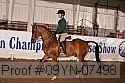09yn-07498 proof