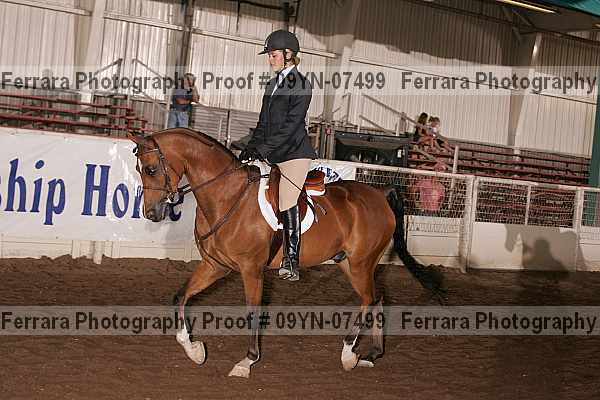 Proof 09yn-07499