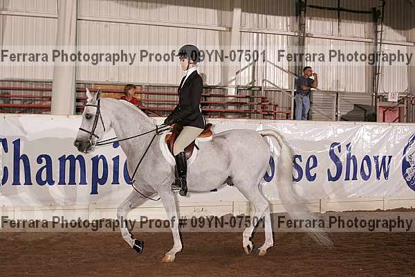 Proof 09yn-07501