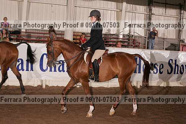 Proof 09yn-07503