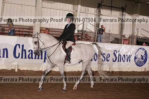 Proof 09yn-07504