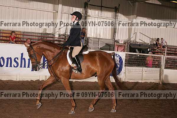 Proof 09yn-07506