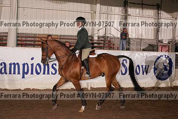 Proof 09yn-07507