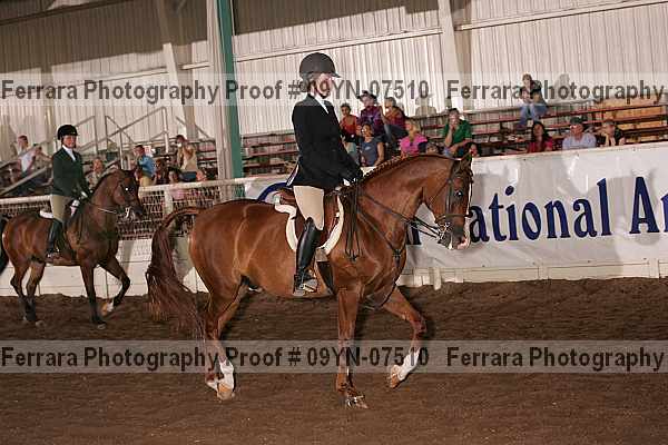 Proof 09yn-07510