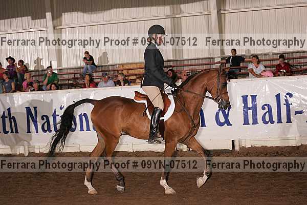 Proof 09yn-07512