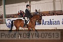 09yn-07513 proof