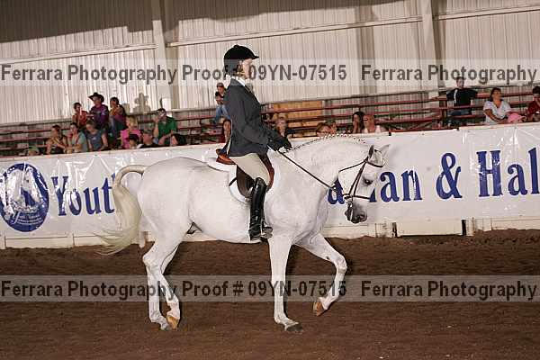Proof 09yn-07515