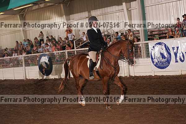 Proof 09yn-07516