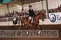 09yn-07516 proof