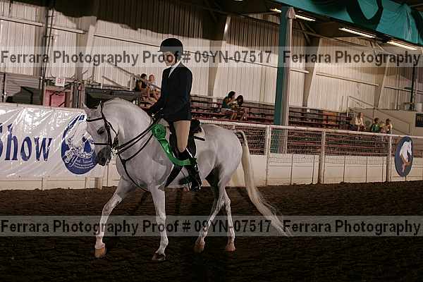Proof 09yn-07517