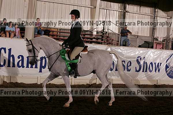 Proof 09yn-07518